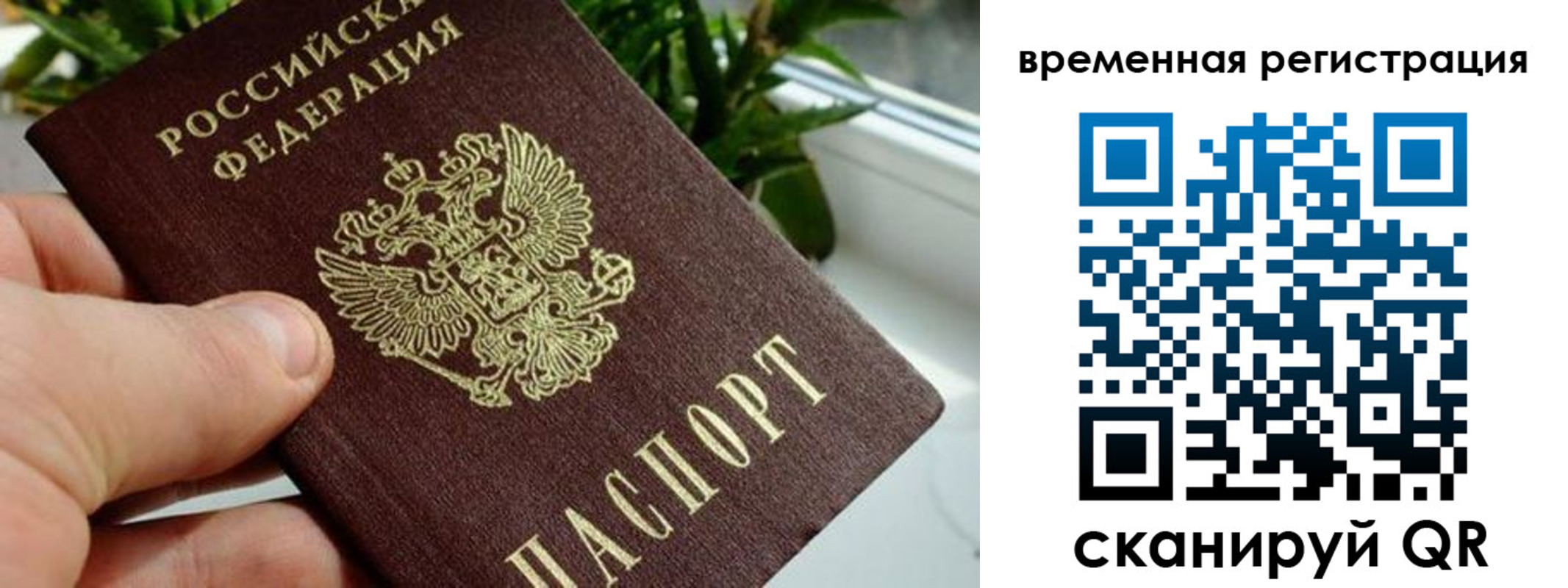 прописка поиск в Яхроме
